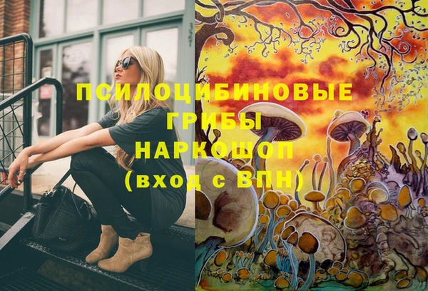 спайс Баксан