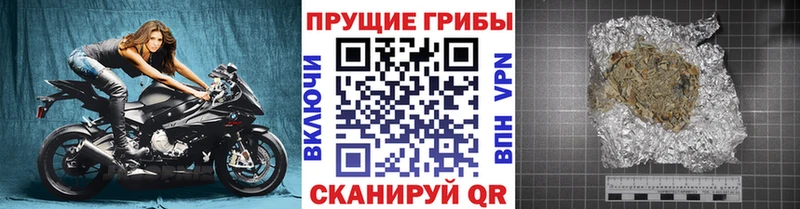 blacksprut вход  Ленинск  Галлюциногенные грибы MAGIC MUSHROOMS 