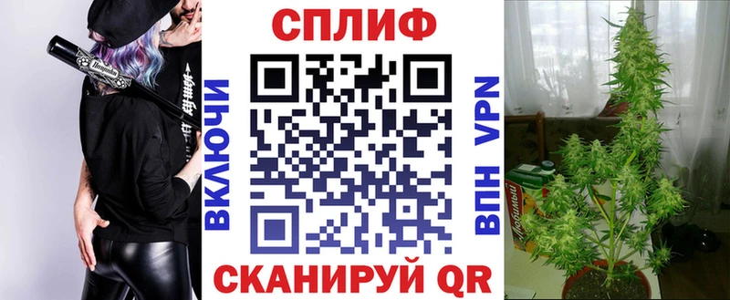 что такое наркотик  Ленинск  Бошки марихуана марихуана 